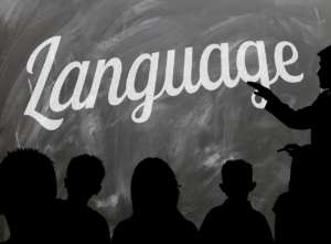 Learning a Language? Immerse Yourself