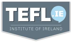 The TEFL Institute of Ireland returns to Nightcourses.com