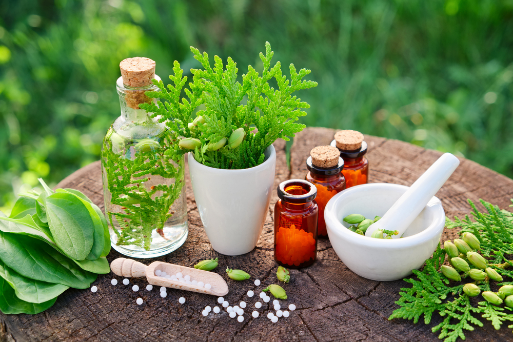 Homeopathy For Beginners Workshop