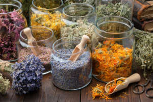 Accredited Holistic Herbalism Diploma Course (Certified)