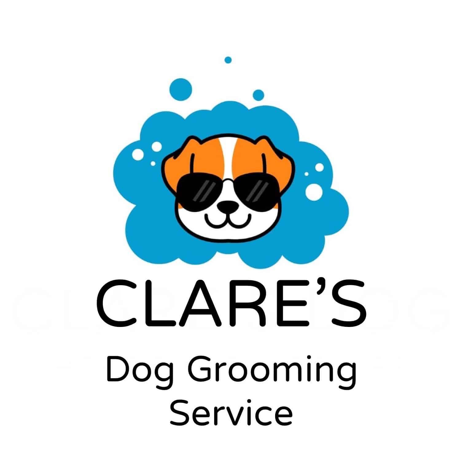 Clare's Dog Grooming School