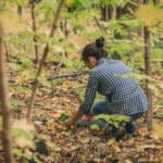 Foraging Walk with Coole Eco-Community