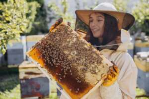 Beekeeping Courses In Ireland