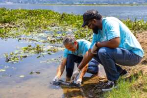 Advanced Diploma In Wildlife Conservation from Alison